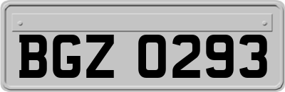 BGZ0293