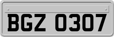 BGZ0307