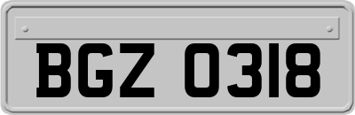 BGZ0318