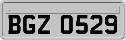 BGZ0529