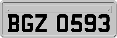 BGZ0593