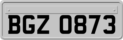 BGZ0873