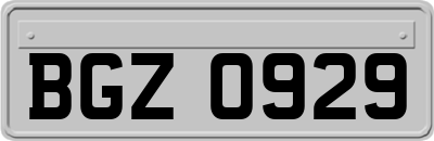 BGZ0929