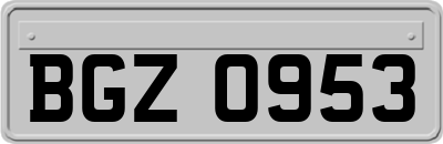 BGZ0953