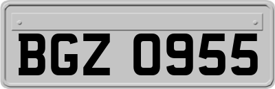 BGZ0955