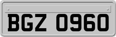 BGZ0960