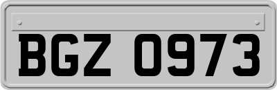 BGZ0973