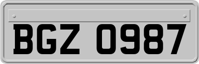 BGZ0987