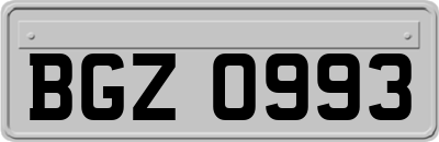 BGZ0993