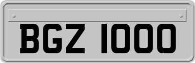 BGZ1000