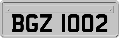 BGZ1002