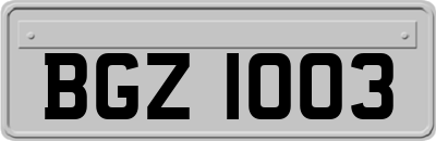 BGZ1003