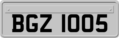 BGZ1005