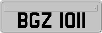 BGZ1011