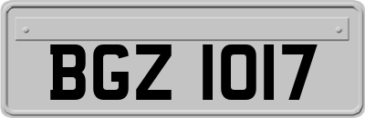 BGZ1017