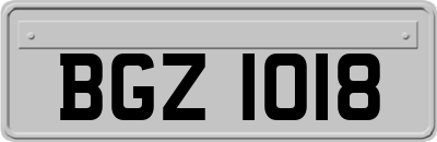 BGZ1018