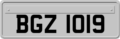 BGZ1019