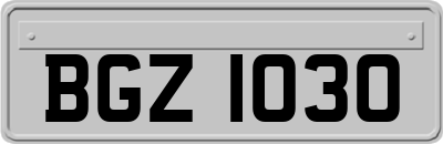 BGZ1030