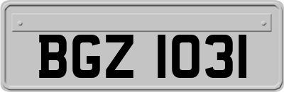 BGZ1031