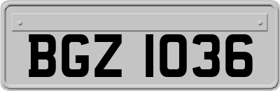 BGZ1036