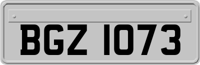 BGZ1073