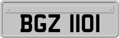 BGZ1101