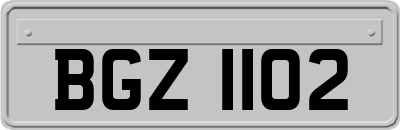 BGZ1102