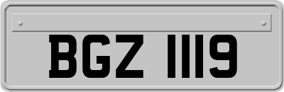 BGZ1119