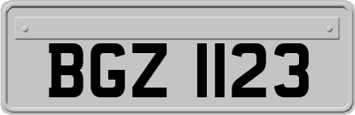 BGZ1123