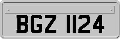 BGZ1124