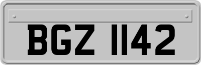 BGZ1142