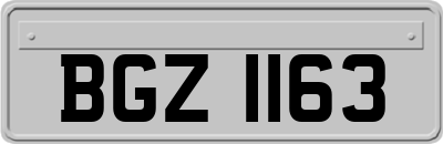 BGZ1163
