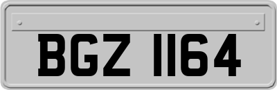 BGZ1164