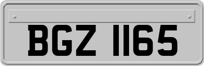 BGZ1165