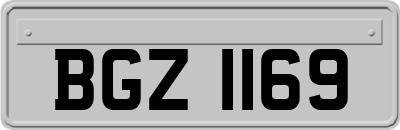 BGZ1169