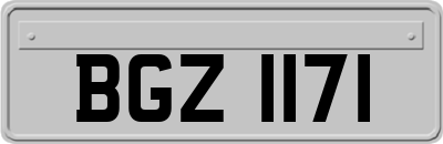 BGZ1171