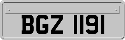 BGZ1191