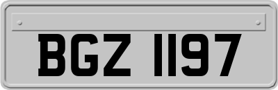 BGZ1197