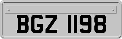 BGZ1198