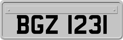 BGZ1231