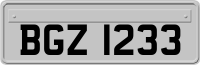 BGZ1233