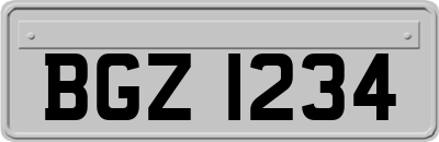 BGZ1234
