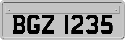 BGZ1235