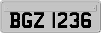 BGZ1236