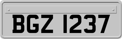 BGZ1237