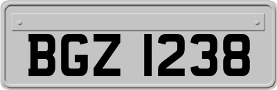 BGZ1238