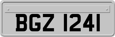 BGZ1241