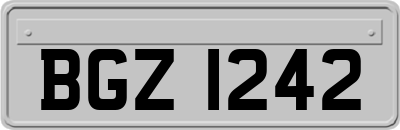 BGZ1242
