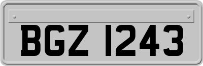 BGZ1243