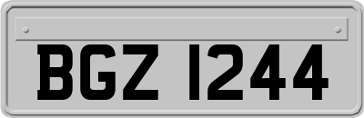 BGZ1244